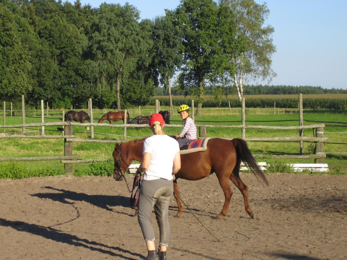 Ferienhof Drewes Ranch 비첸도프 외부 사진